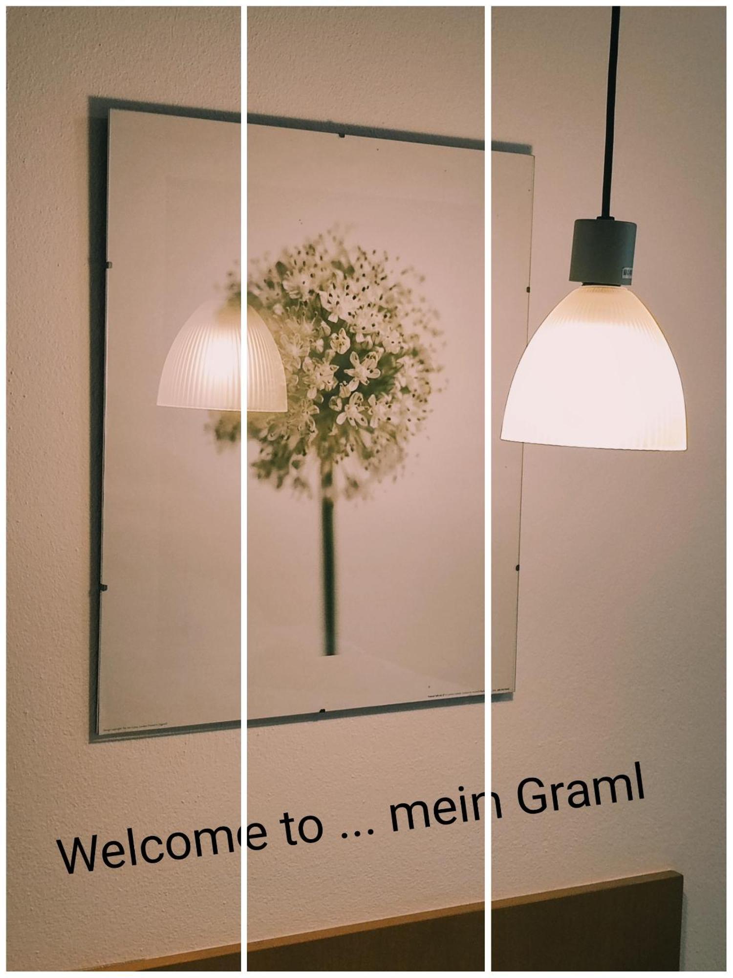...Mein Graml Bad Füssing Стая снимка